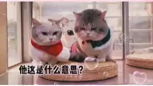 女友来大姨妈时你该这样做恋爱情感
