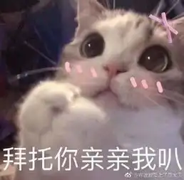 猫咪表情包骗你是小猫
