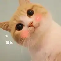 歪头表情包
