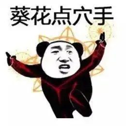 表情包全套熊猫头功夫表情包,拿走不谢
