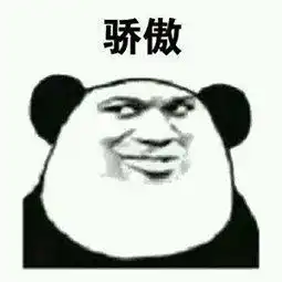化妆品都包包表情包骄傲