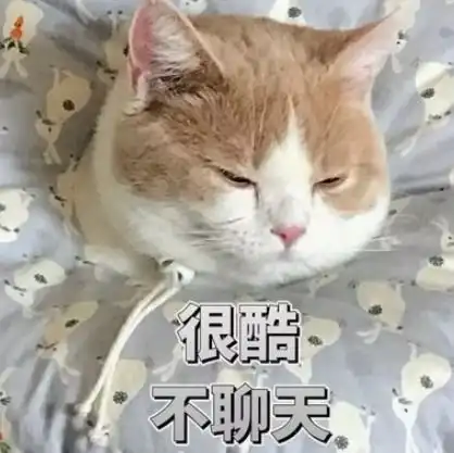 幽默笑话和朋友去超市买虾,问售货员有没有新鲜的
