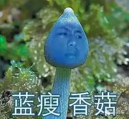 蓝瘦,香菇再一次成就了一个网红
