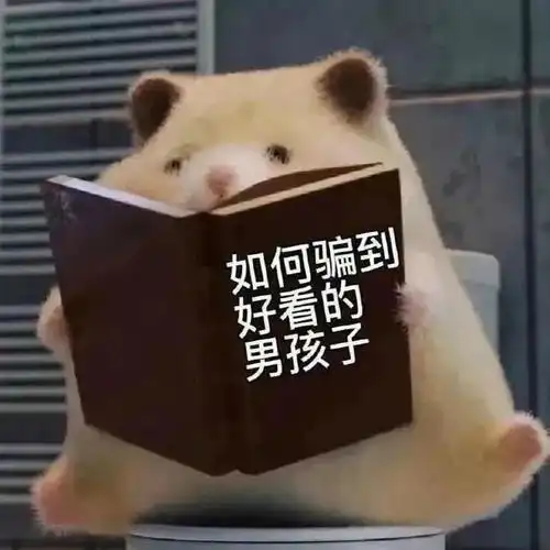 表情包花枝招展没有局,背心拖鞋遇情敌
