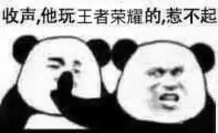 王者荣耀玩家排位自闭了排位熊猫头沙雕表情包
