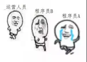 程序员的项目周期表情包版
