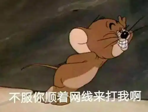 2020留学生鄙视链曝光你站在哪一层
