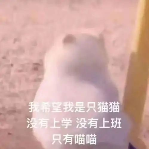 搞笑表情包来咯
