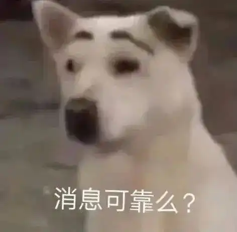 表情包欲骂又止
