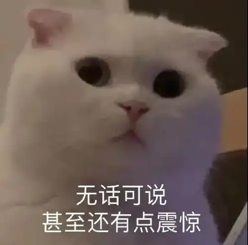 113张发给喜欢的人,很可爱又沙雕的表情包
