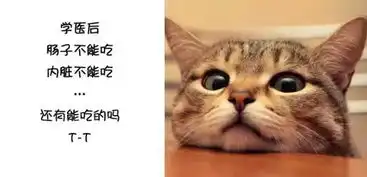 学医前vs学医后......
