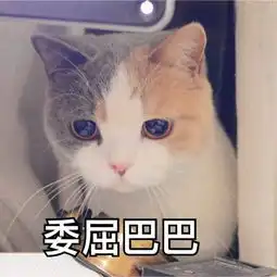 在德阳还不上房贷了,不止损失一套房这么简单
