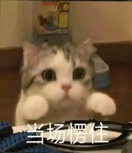 猫猫表情包系列这是你跟我说话的态度
