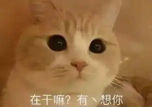 熊猫头怼人专用图男人啊,都是越宠越可爱的
