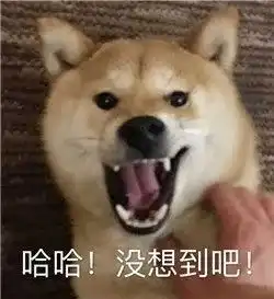 养宠物能降低患呼吸道疾病的几率钟南山院士这些人确实可以......
