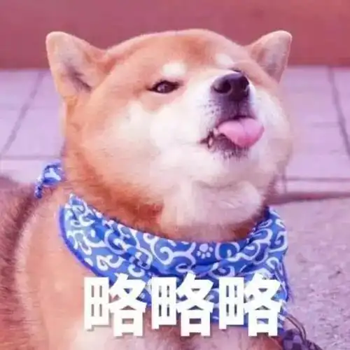 初冬秋末,送你一波高颜值小魔仙
