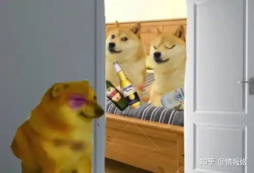 那只表情包里的废柴狗,如今是全世界肥宅的正义doge
