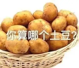 怎样骂人会显得很可爱
