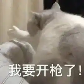 再添十碗饭丨第809期喵表情包
