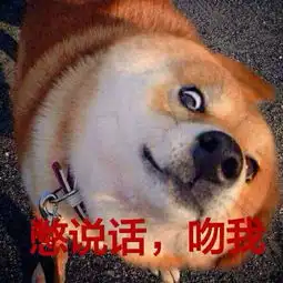 斗图表情包情人节到了你依旧还是一只孤独的单身狗
