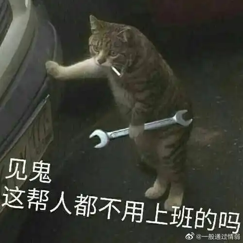 赛博朋克2077预购达800万,游戏发售玩家评价却极速下跌
