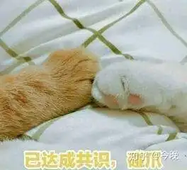 中药学中药歌诀
