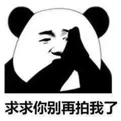 搞笑沙雕熊猫头表情包
