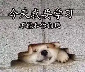 前方高能一大波考研表情包来袭
