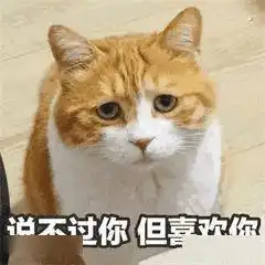 表情包巨喜欢这一期
