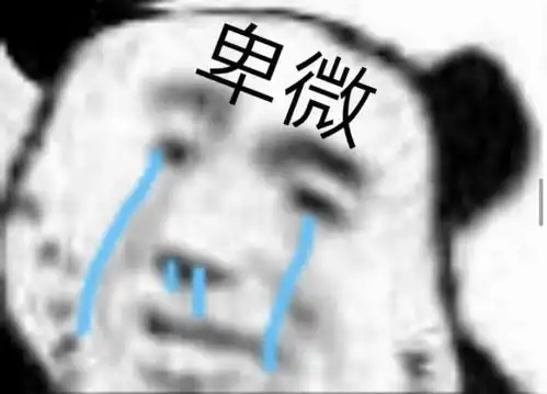 表情包沙雕熊猫头28.0
