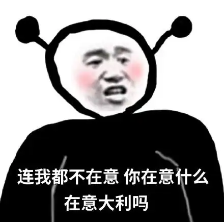 表情包连我都不在意,你在意什么,在意大利吗
