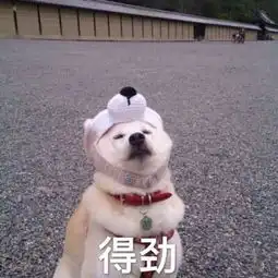 惊舞大的自述里竟然有...
