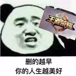 王者荣耀使我年轻,表情包分享
