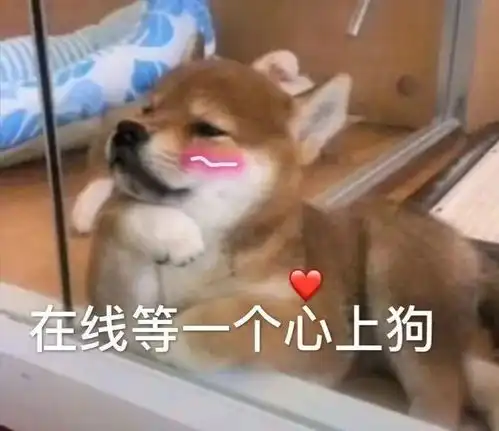 表情包要打架可以,不要指指点点
