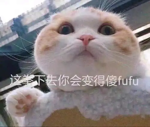 猫咪的表情包合集喜欢的可以进来收图
