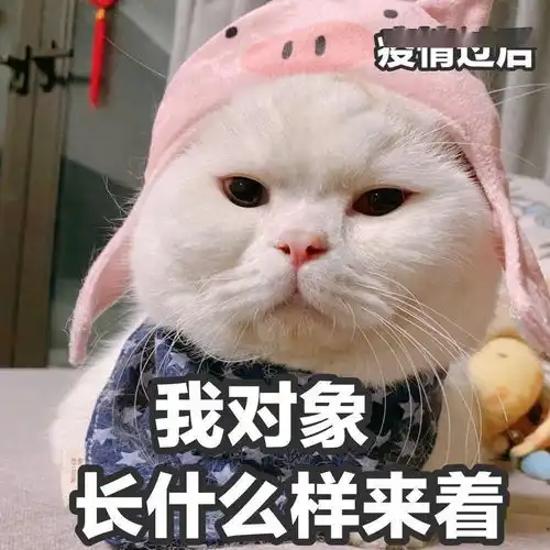 斗图必备的搞怪表情包
