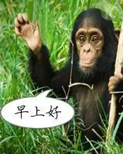 谁有制作qq头像的软件发下给偶,好用滴偶还加分
