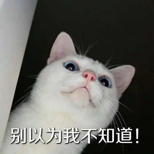 哇,可爱猫咪表情包来了,喜欢猫咪的快来收图,萌得我一塌糊涂
