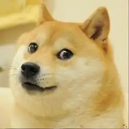 举白旗表情包doge