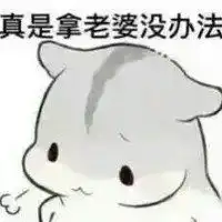 老婆表情包图片大全微信头像图片大全

