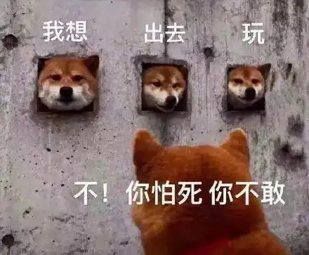 ins上最受欢迎的欧洲博物馆top10
