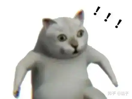 宠物表情包出处过猫