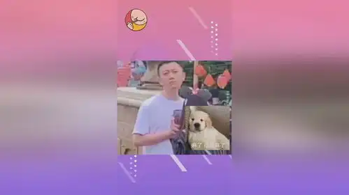 男子一脸生无可恋的表情充当人形支架,给女友拍照真是不容易
