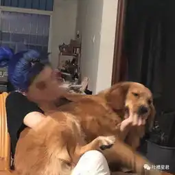 和lan开房的经历换上网状性感内衣后,尴尬的一幕发生了
