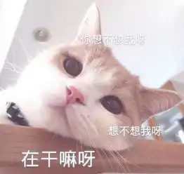 你在干嘛呀表情包大全
