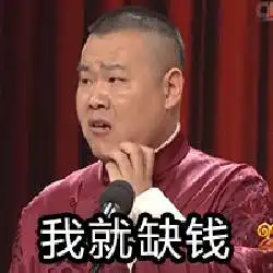 贱人小岳岳

