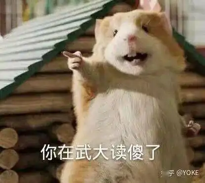 不来看看whu表情包吗
