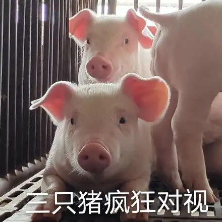 对视表情包对视微信表情包对视qq表情包发表情fabiaoqing.com
