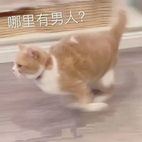 菠萝自杀和他杀有什么区别笑拉了家人们哈哈哈
