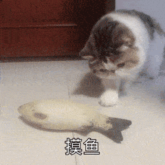 是谁谁在给摸鱼的人发年终奖
